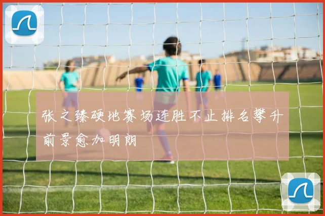 张之臻硬地赛场连胜不止排名攀升前景愈加明朗